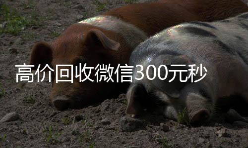 高价回收微信30024小时高价回收vx元秒结（高价回收vx300元秒结）